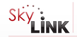 Sky Link Logo